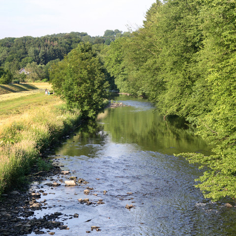 Der Fluss Agger in Overath, links Wiese, rechts Wald