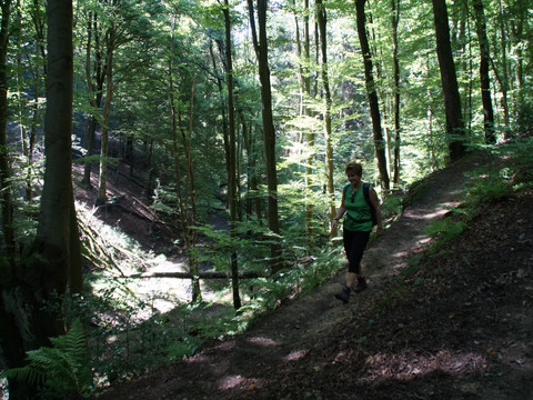 Bergischer Weg hinter Forsbach