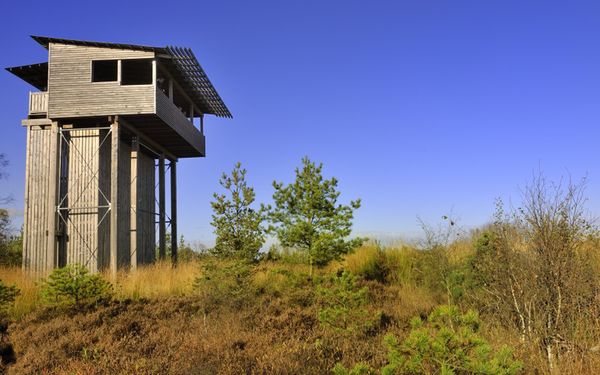 Außenansicht vom Moorturm in Forstort Anfang