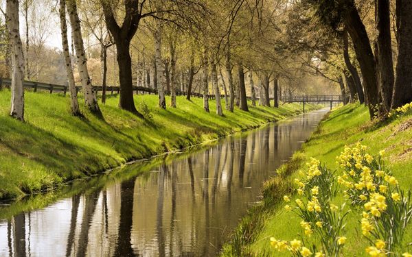 Von Birken und gelben Blumen umrahmter Oste-Hamme-Kanal