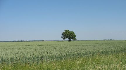 Landschaftliche Vielfalt zwischen Rotenburg und Scheeßel