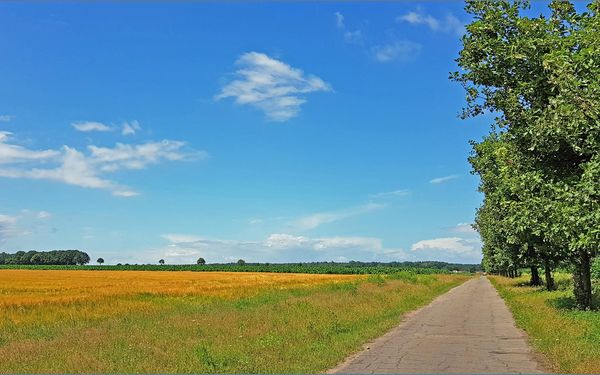 Ländliche Straße auf dem Weg nach Unterstedt