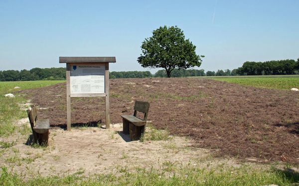 Hügelgräberfriedhof in Unterstedt mit Bänken und Infotafel