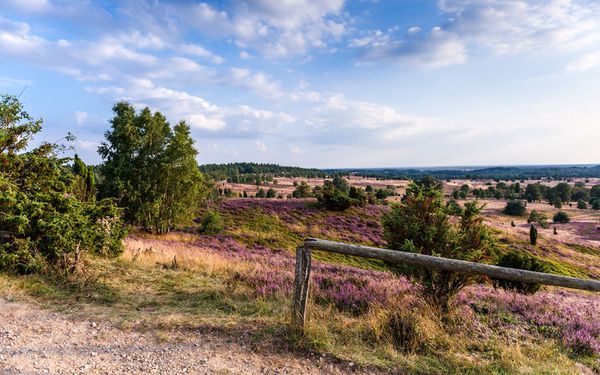 Ausblick vom Wilseder Berg in der Lüneburger Heide