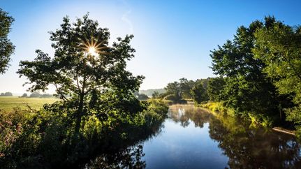 Die Wümme in der Flussniederung von Rotenburg (Wümme)