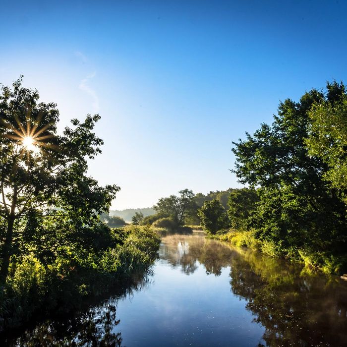 Die Wümme in der Flussniederung von Rotenburg (Wümme)