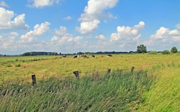 Wümmewiesen an der Nordroute des Wümme-Radweges