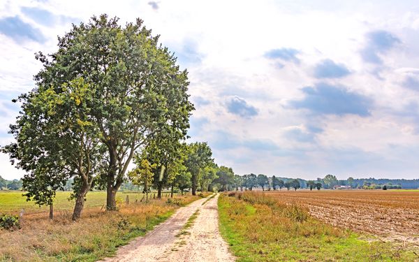 Weite Landschaft auf dem Weg zum Waldgebiet Hohe Buchen