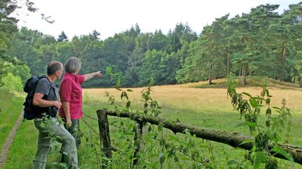 Der Grabhügel am Kuhbachtal