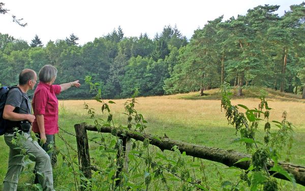 Der Grabhügel am Kuhbachtal