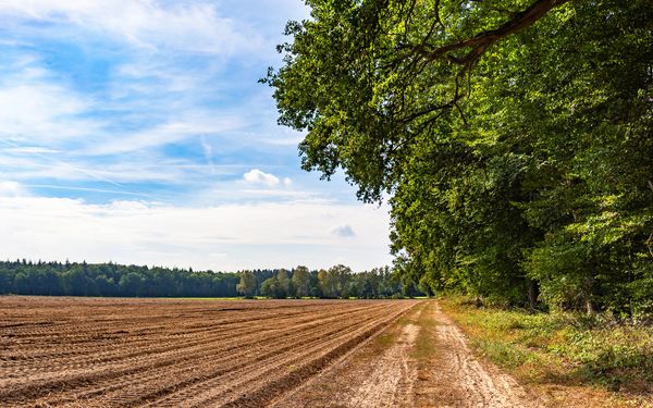 Weitläufige Ackerflächen am NORDPFAD Kuhbach-Oste