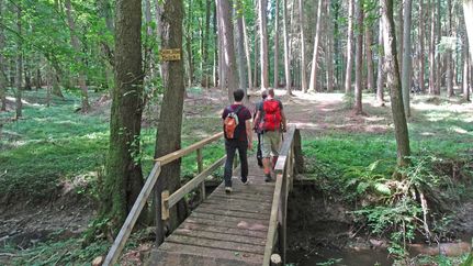 Überquerung vom Klustebach im Hölzerbruch