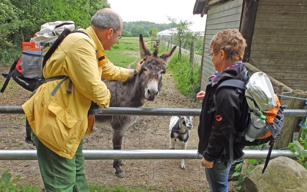 Tierische Begrüßung auf dem Hof Grafel