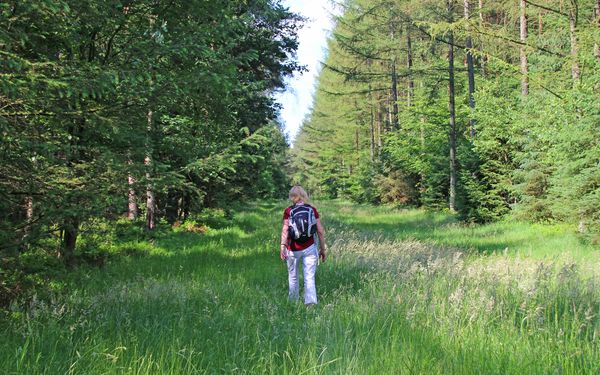 Wanderin mitten im Forst Lintel
