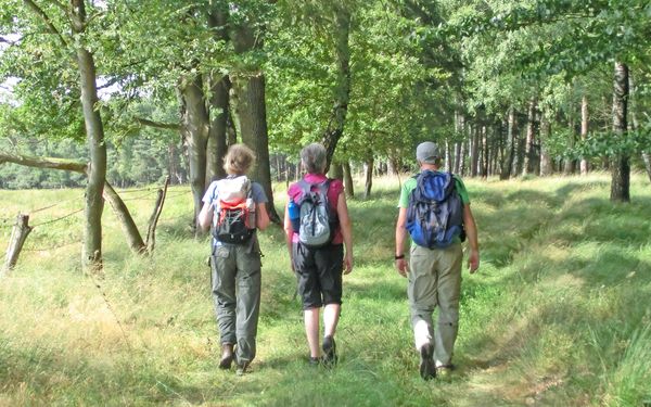 Wanderer am Waldrand vom Ützenbusch