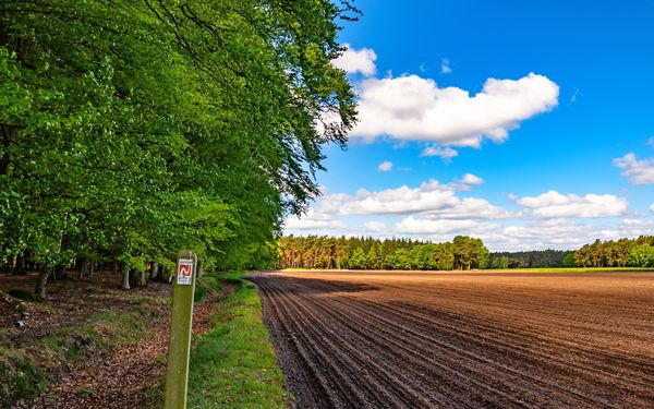 Wanderweg am Rand vom Forst Buhlen