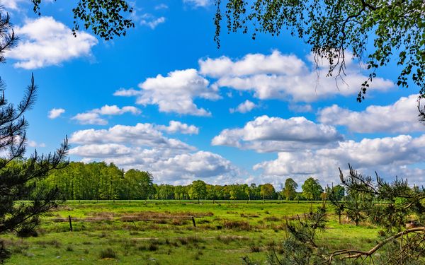 Bilderbuchlandschaft am NORDPFAD Federlohmühlen