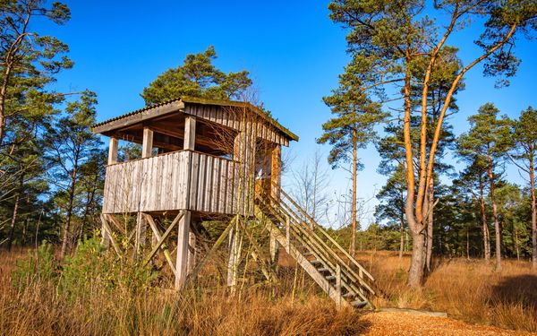 Aussichtsturm im Naturschutzgebiet Großes und Weißes Moor