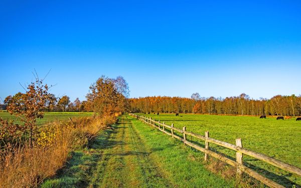 Naturnaher Weg an einer Weide des NORDPFADES Dör't Moor
