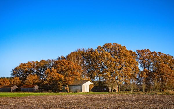 Der Schafstall Unterstedt im bunten Herbstkleid