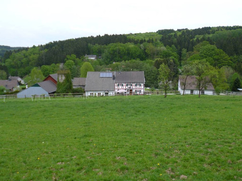 Der Niederhof