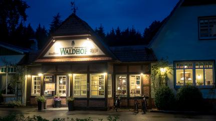 Genießen Sie unseren gemütlichen Restaurantbereich im Waldhof