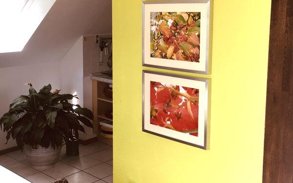 Ferienwohnung Blickfeld in Tarmstedt