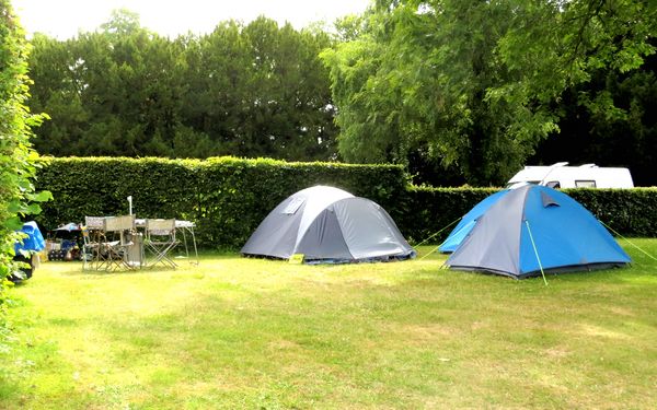 Zeltfläche vom Campingplatz Alte Löweninsel