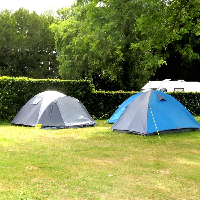 Zeltfläche vom Campingplatz Alte Löweninsel