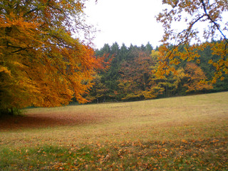 Eiberg - Herbst
