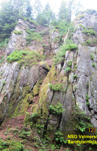 Kalksteinklippen unterhalb der Preußischen Velmerstot