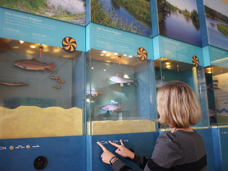 Interaktive Aquarienwand in der Ems-Erlebniswelt