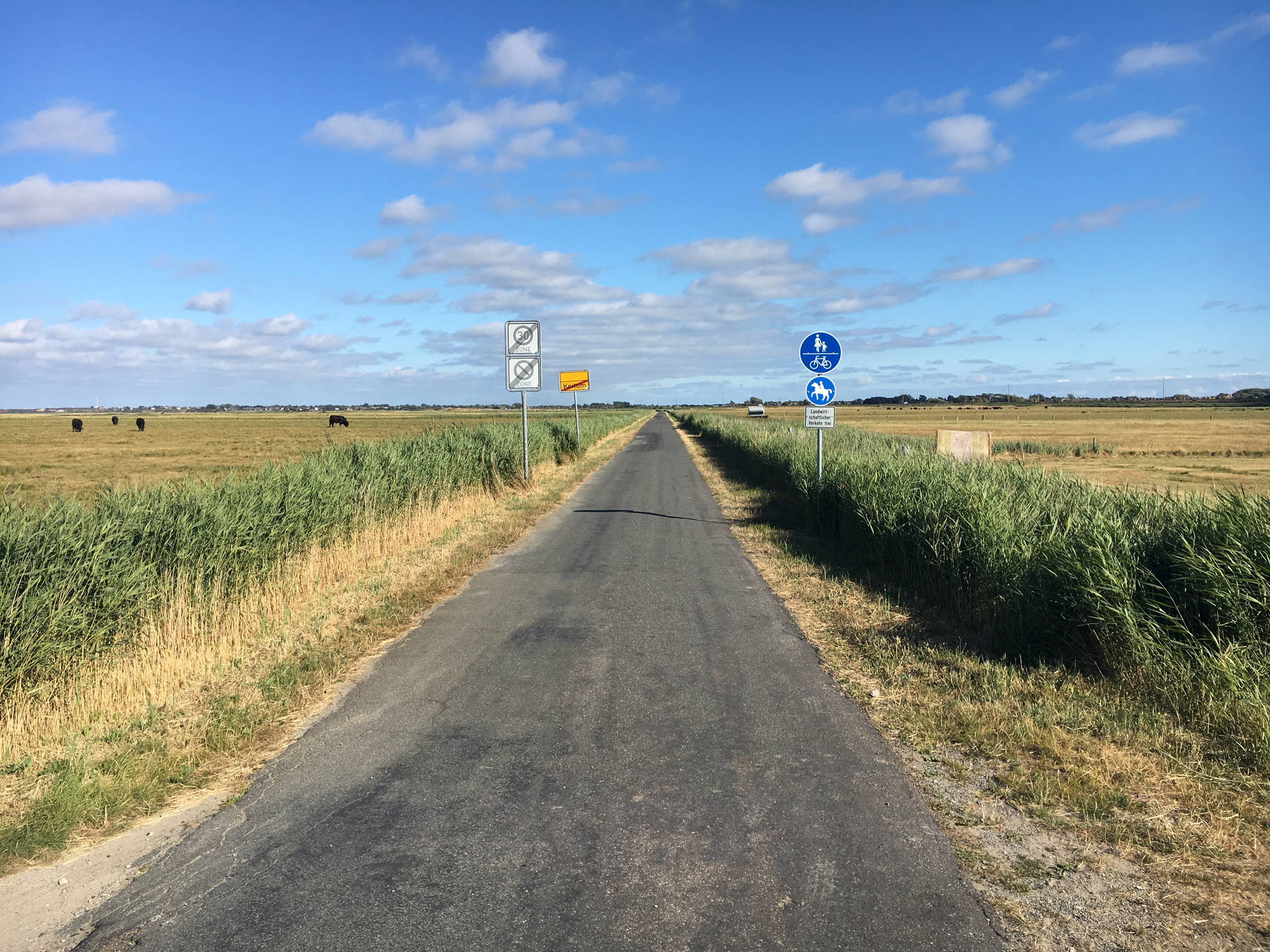 autofreier Weg nach Morsum
