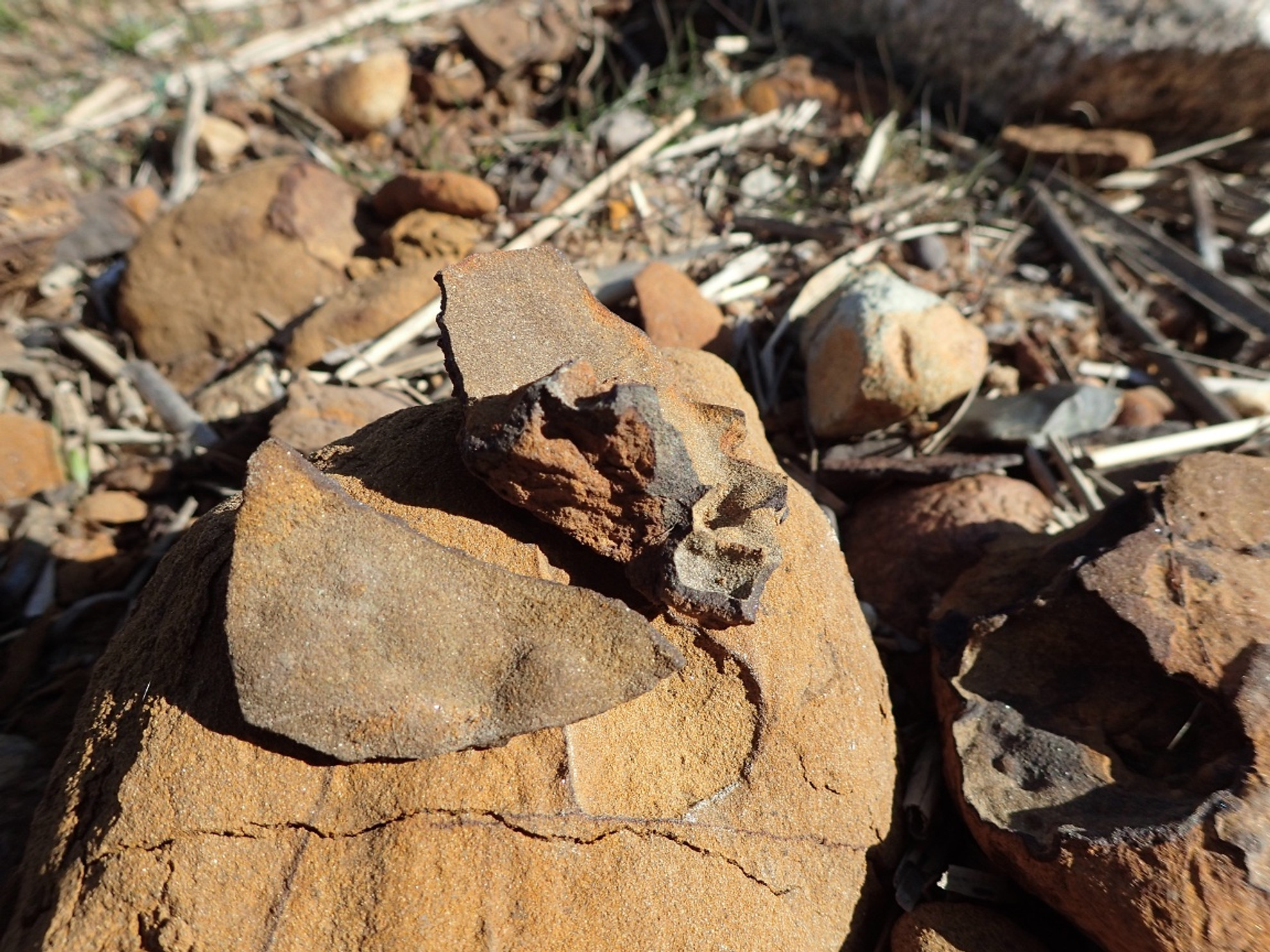 Fast wie Scherben sehen einige Funde aus Limonit aus - der Sage nach gehören sie zum Geschirr der "Unterirdischen".