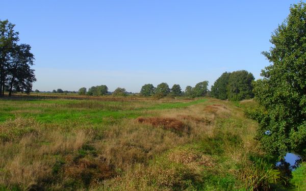 Natur pur und die Wörpe zwischen Wilstedt und Tarmstedt
