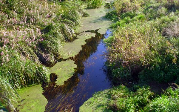 Die Wörpebrücke zwischen Tarmstedt und Wilstedt