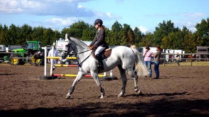 Reitturnier des Reitvereins Tarmstedt