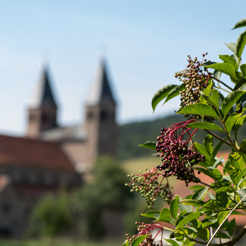 Kloster Bursfelde im Hintergrund