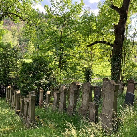 Jüdischer Friedhof in Adelebsen, Erlebnisregion Hann. Münden