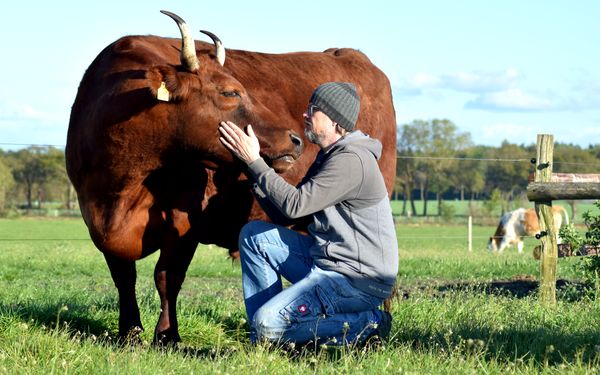 Lebensmittelpunkt in Hepstedt - Kaufen...nur was gut ist