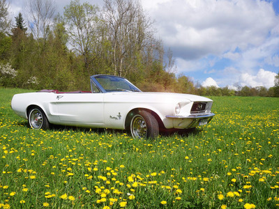 HarzCruiser in Thale - Mustang