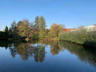 Teich im Ortskern Steinhagens