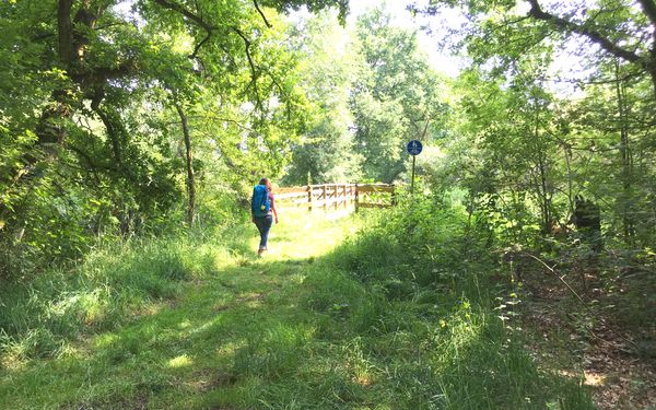 Einer der unzähligen Wanderwege in der Samtgemeinde Selsingen