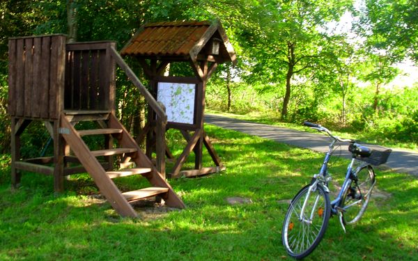 Das Regenrückhaltebecken in Kirchtimke - eine schöne Anlaufstelle für eine Fahrradtour