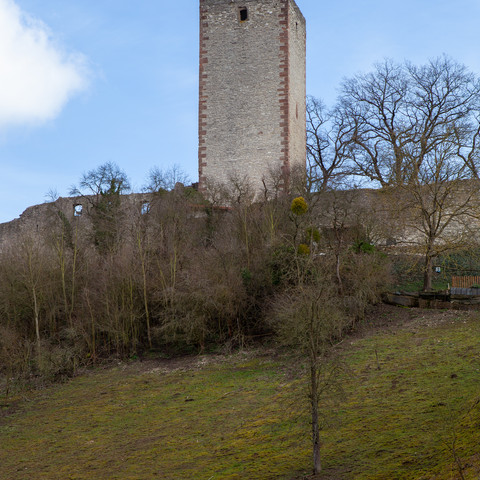 Greener Burg_Burgturm