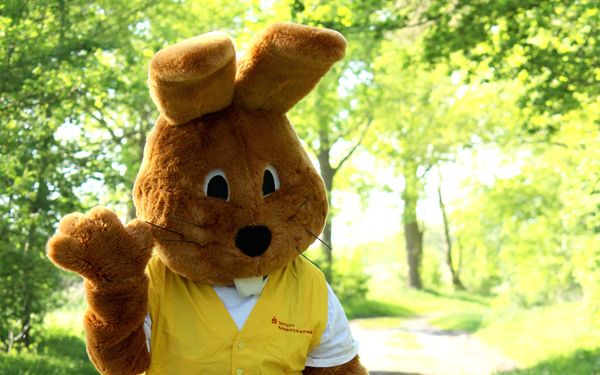 Hanni Hase, einer der bekanntesten Einwohner der Samtgemeinde Selsingen