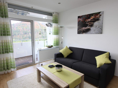 Ferienwohnung Riefenbach in Bad Harzburg - Wohnbereich mit Sofa