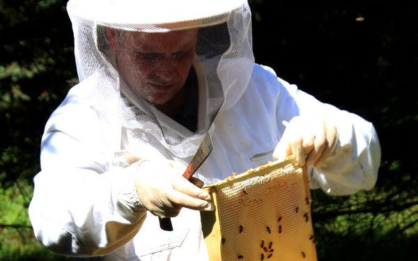 Imker Adrian Nötzel bei seinen Bienen