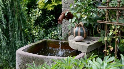 Garten Schönfeld