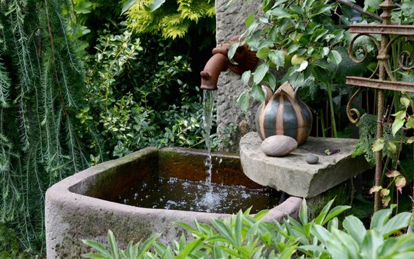 Garten Schönfeld
